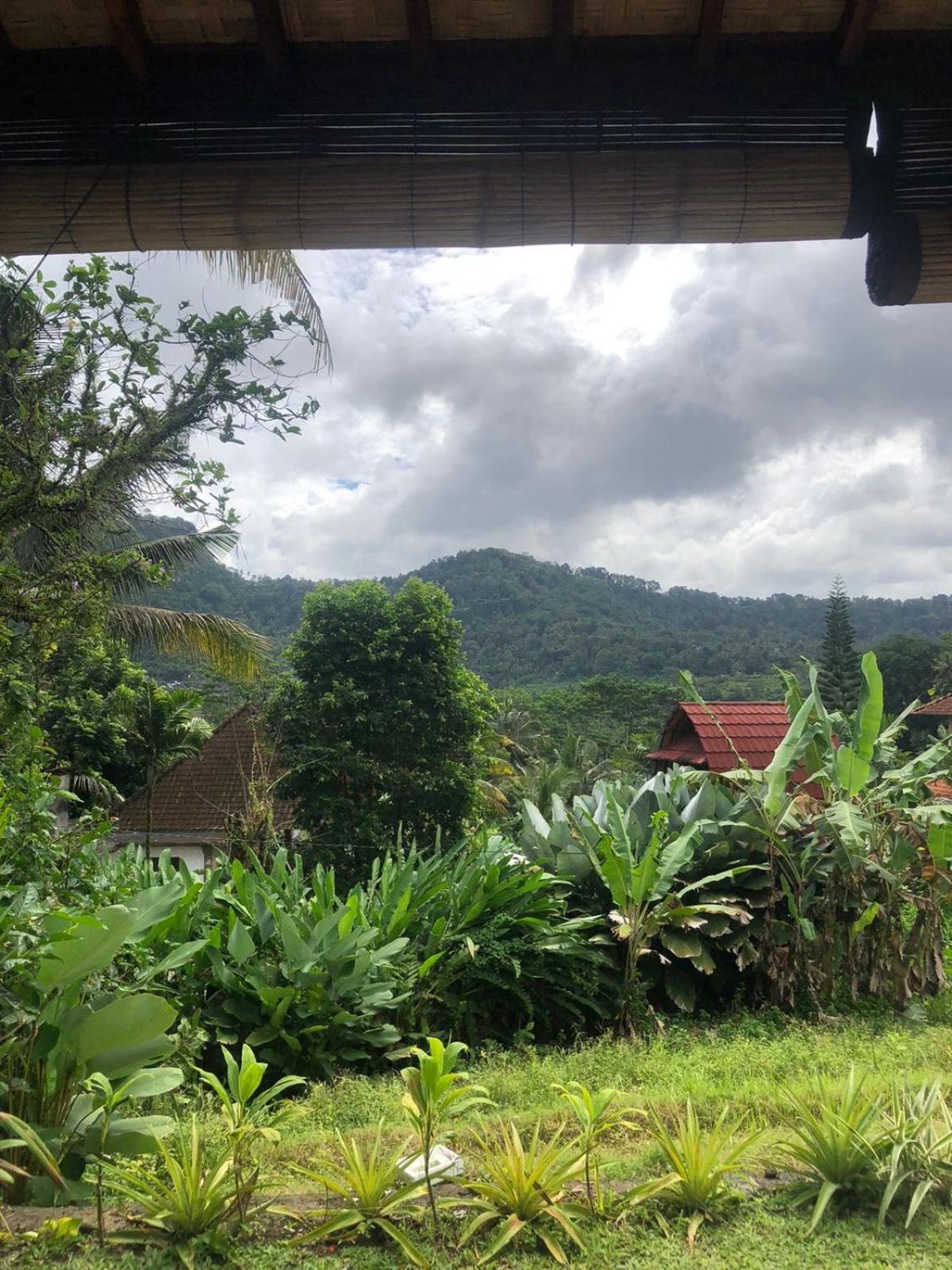D'Janu Homestay Sidemen  Exterior photo