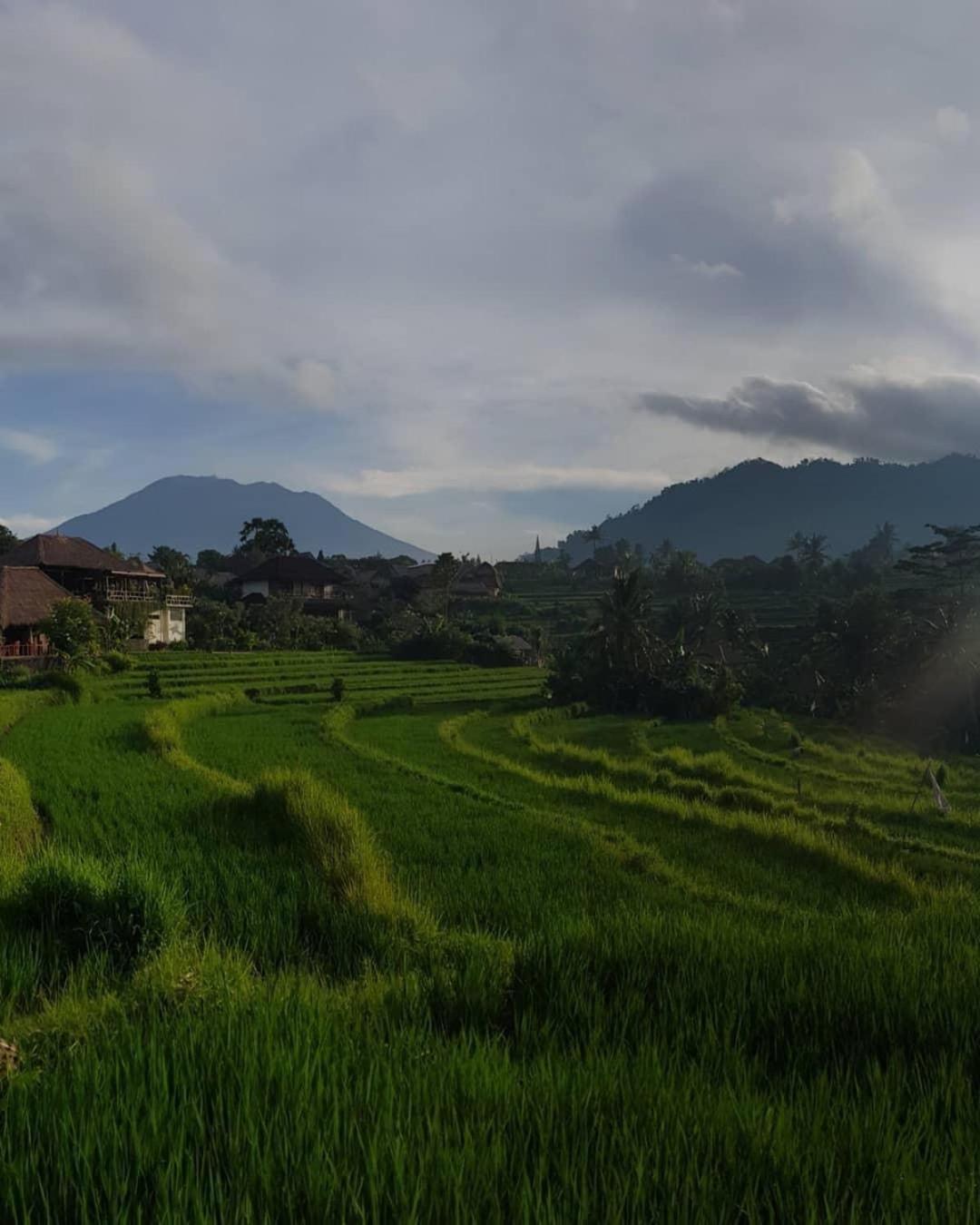 D'Janu Homestay Sidemen  Exterior photo
