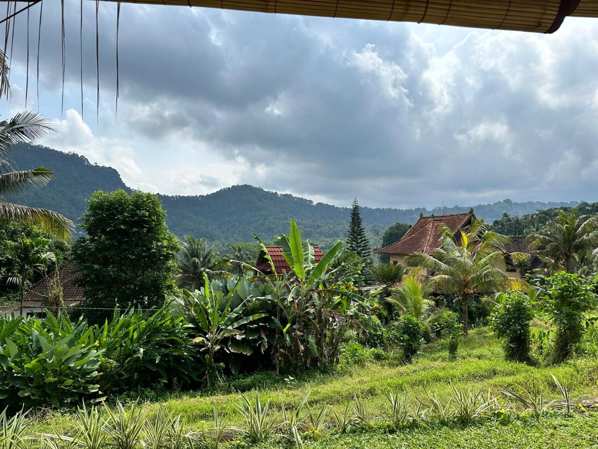 D'Janu Homestay Sidemen  Exterior photo